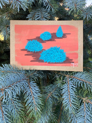Blue Globosa Spruce