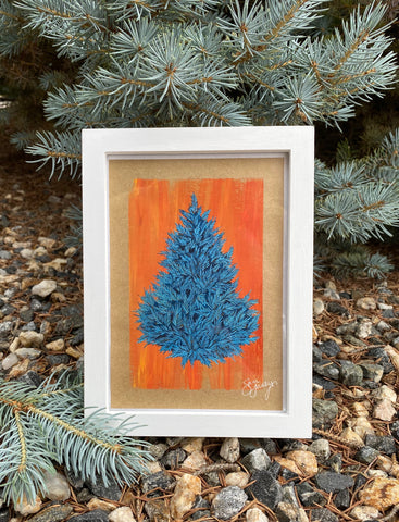 Blue Spruce