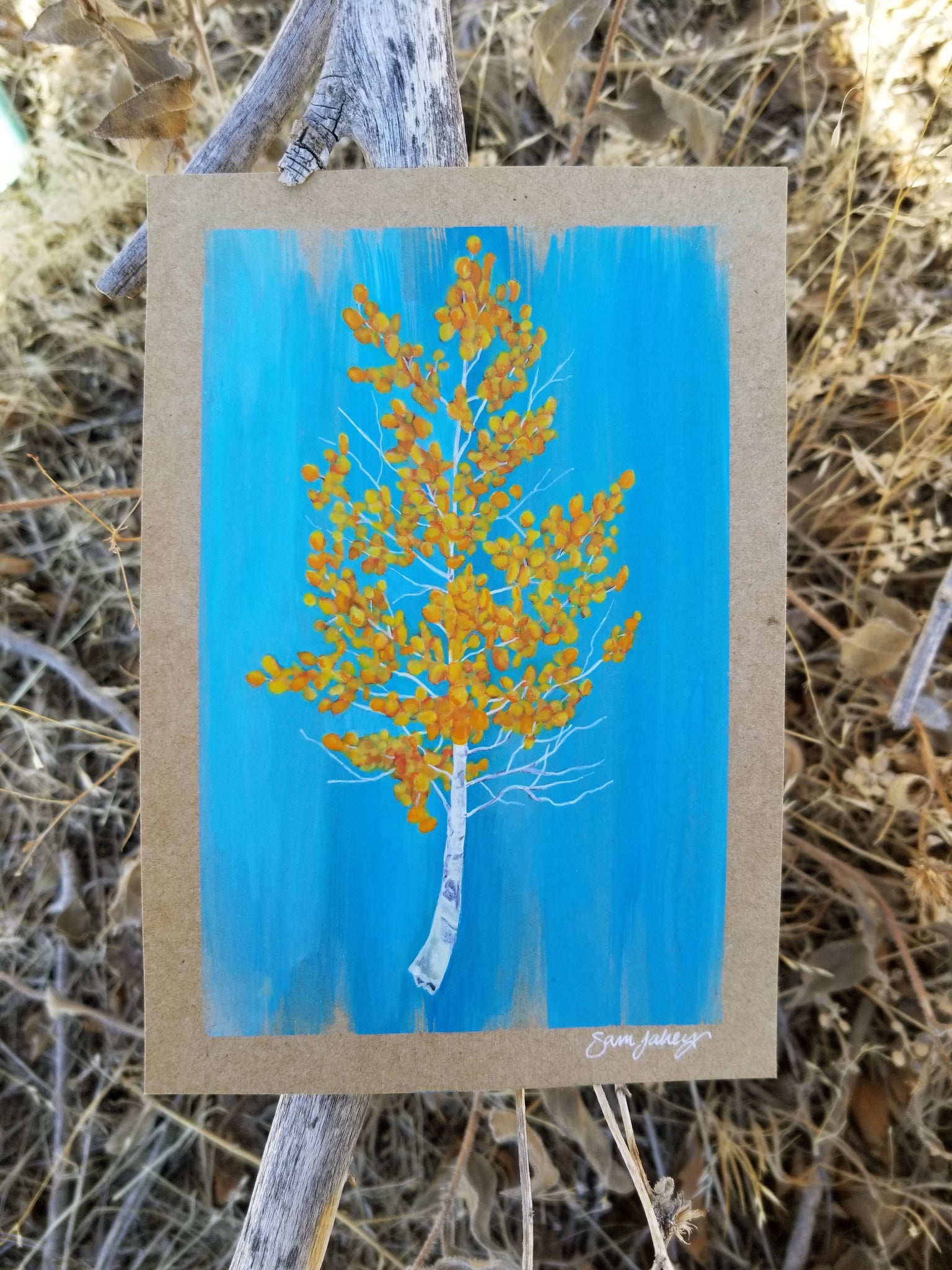 Aspen Tree